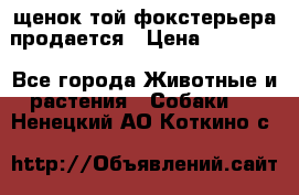 щенок той-фокстерьера продается › Цена ­ 25 000 - Все города Животные и растения » Собаки   . Ненецкий АО,Коткино с.